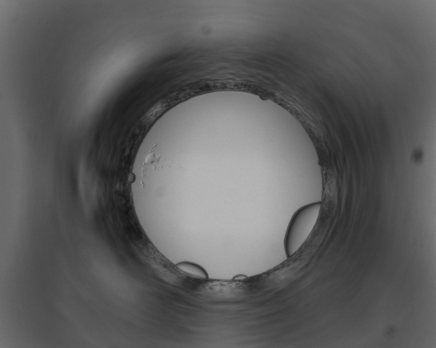 X0000096640526200802051000