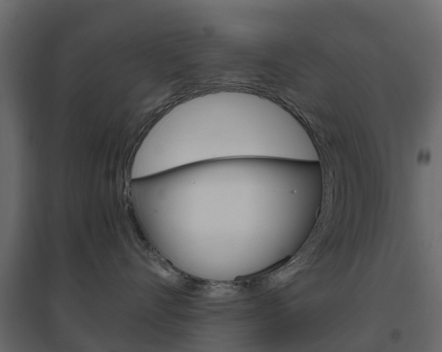 X0000096640528200802051000