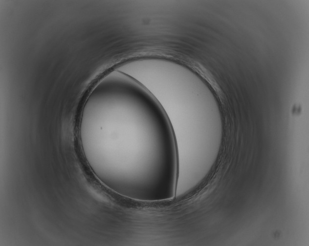 X0000096640530200802051000