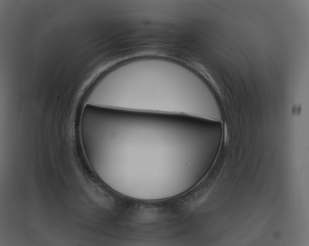 X0000096640531200802051000