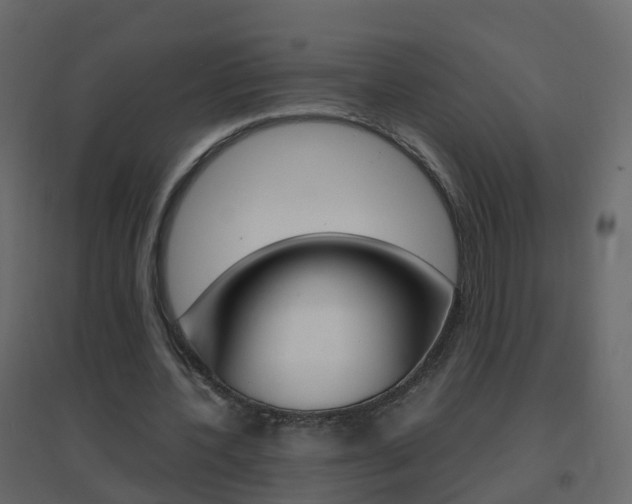 X0000096640532200802051000