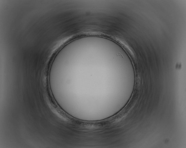 X0000096640533200802051000