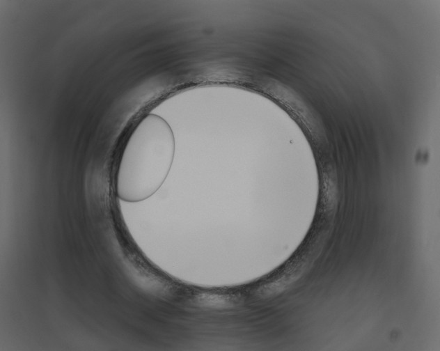 X0000096640534200802051000