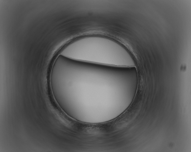 X0000096640535200802051000