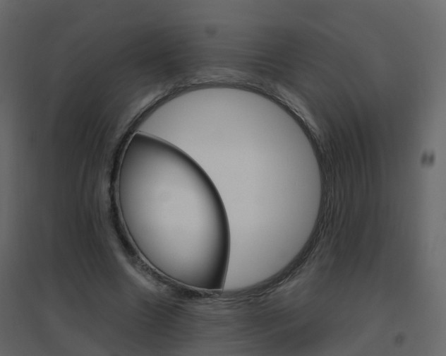 X0000096640538200802051000
