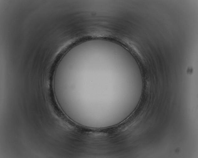 X0000096640539200802051000
