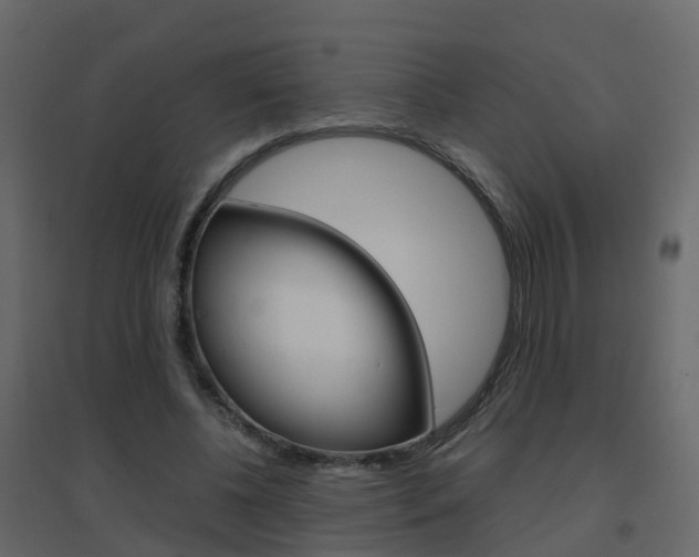 X0000096640540200802051000