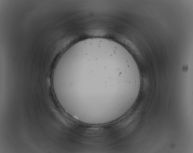 X0000096640541200802051000