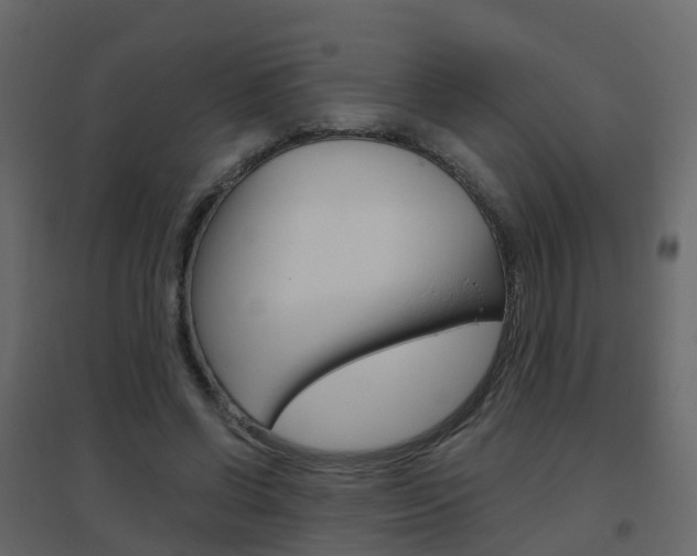X0000096640542200802051000
