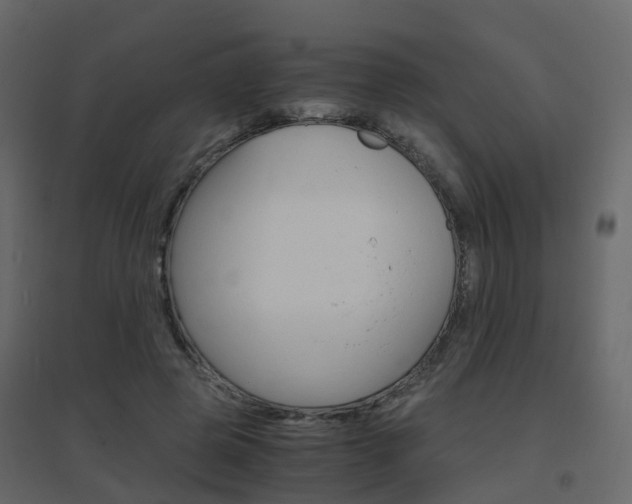X0000096640545200802051000
