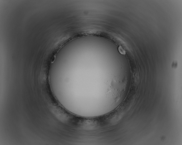 X0000096640546200802051000