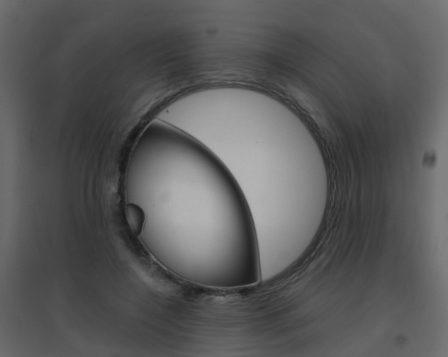 X0000096640548200802051000