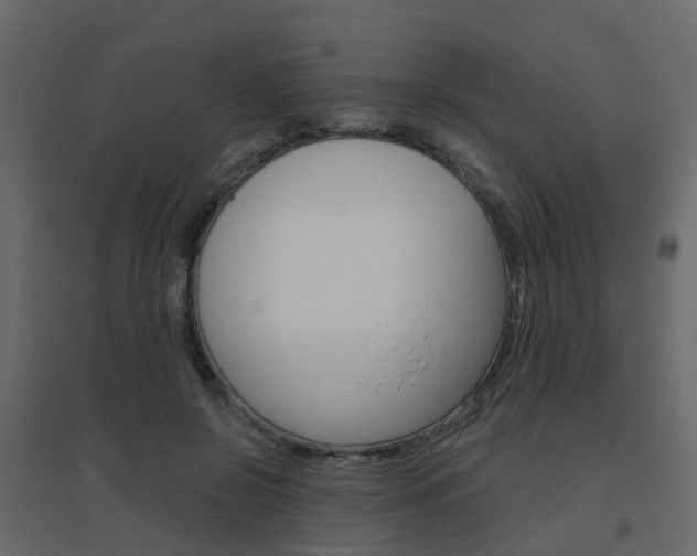 X0000096640550200802051000