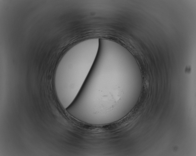 X0000096640551200802051000