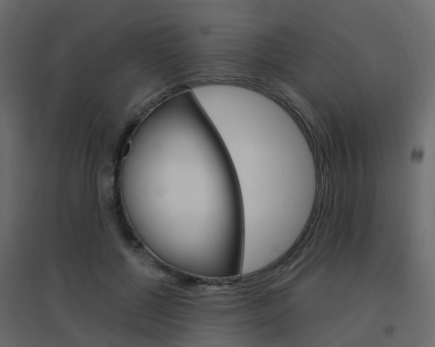 X0000096640552200802051000