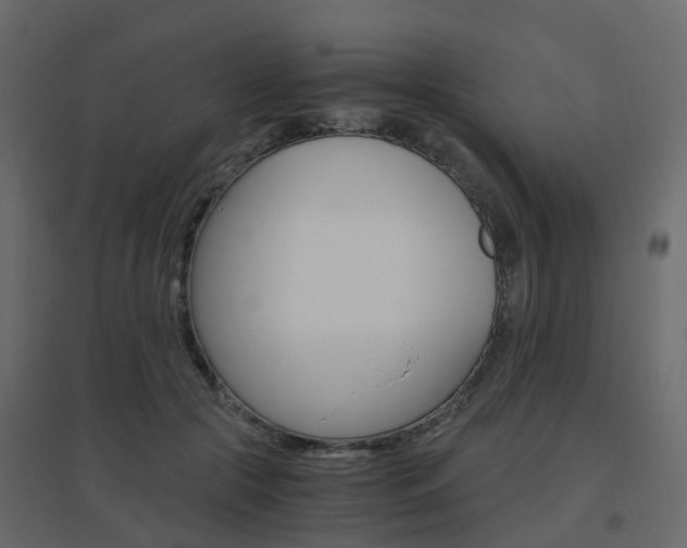 X0000096640553200802051000