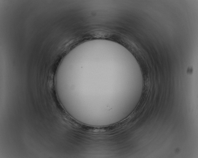 X0000096640554200802051000