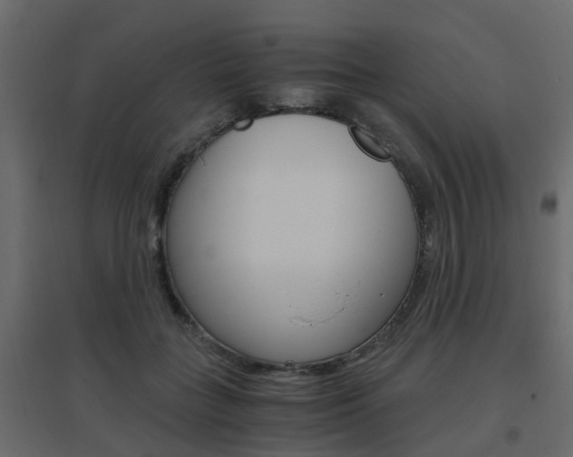 X0000096640555200802051000