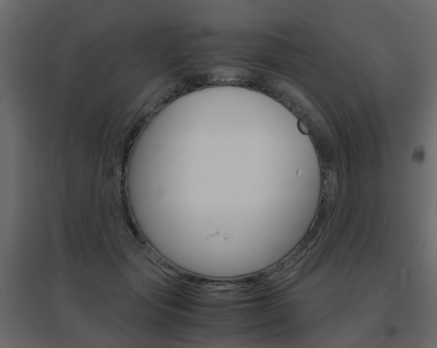 X0000096640557200802051000