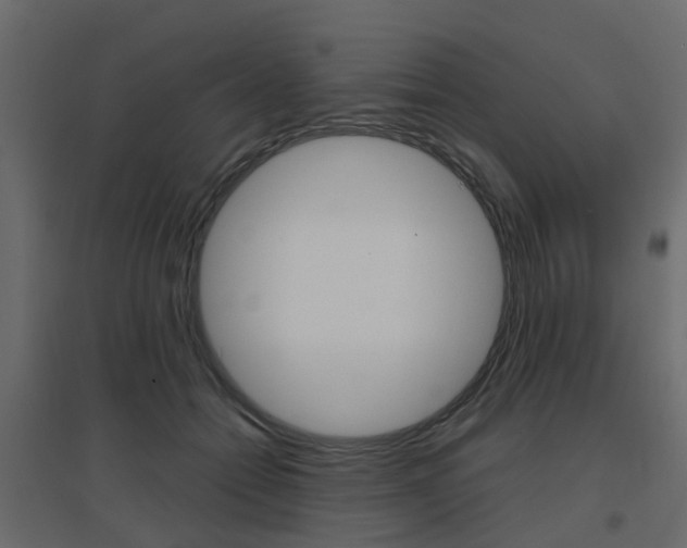 X0000096640558200802051000
