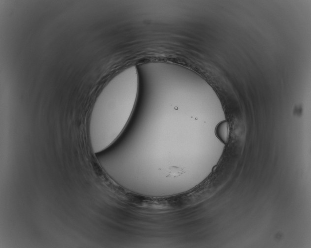 X0000096640559200802051000