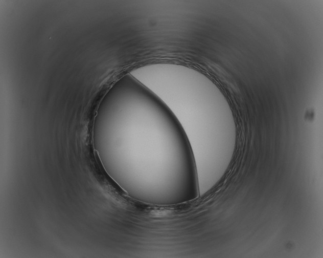 X0000096640560200802051000