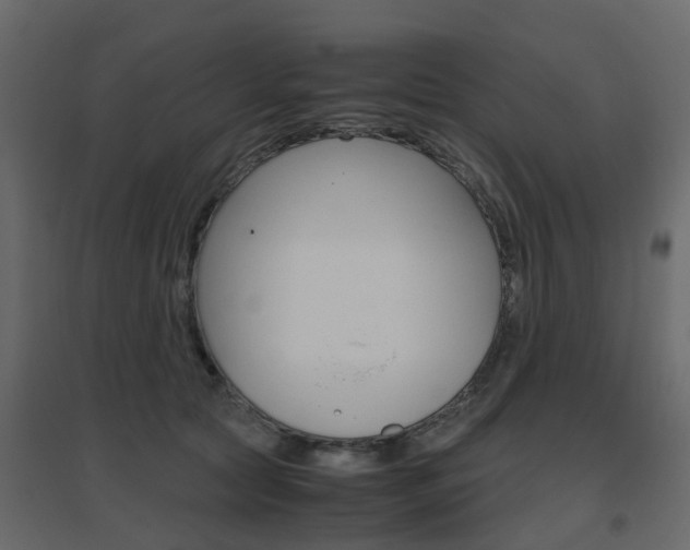 X0000096640561200802051000