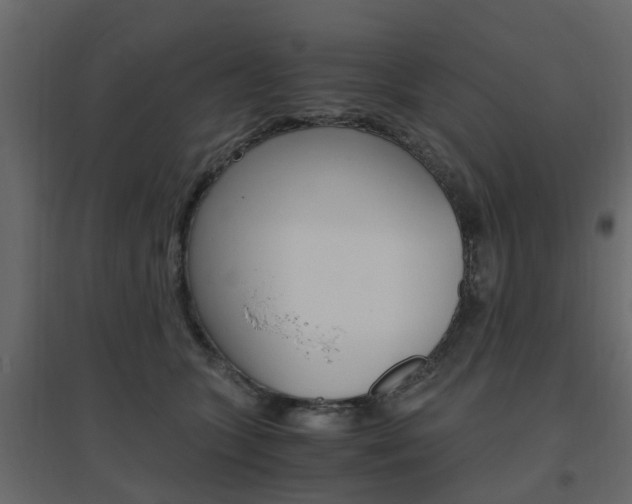 X0000096640563200802051000