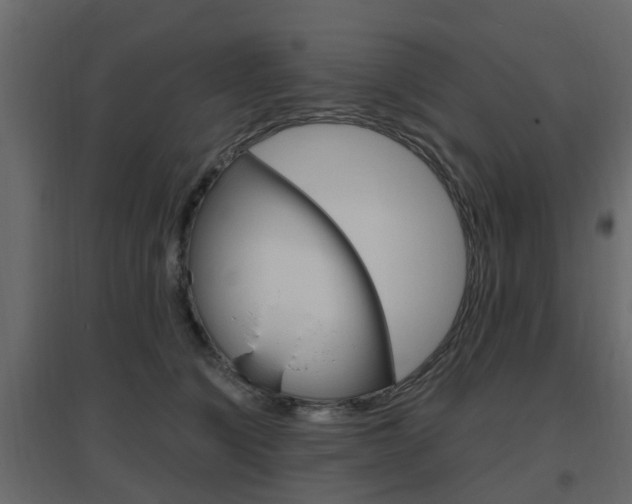 X0000096640564200802051000