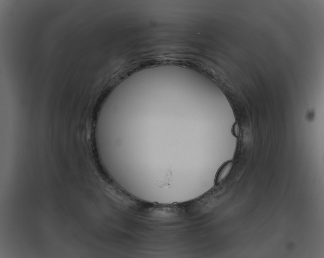 X0000096640567200802051000