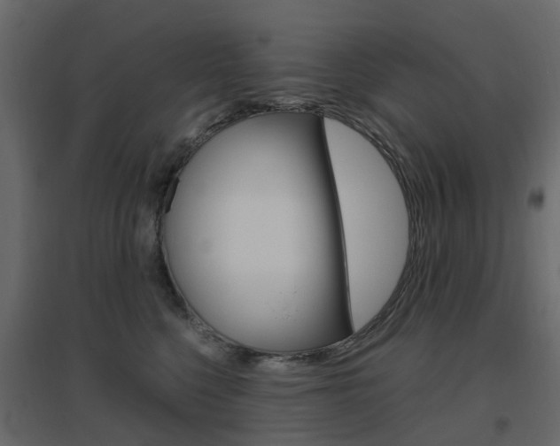 X0000096640568200802051000