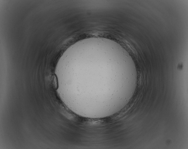 X0000096640569200802051000