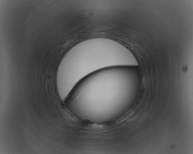 X0000096640570200802051000