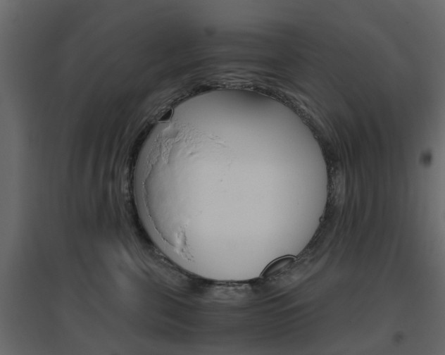 X0000096640571200802051000