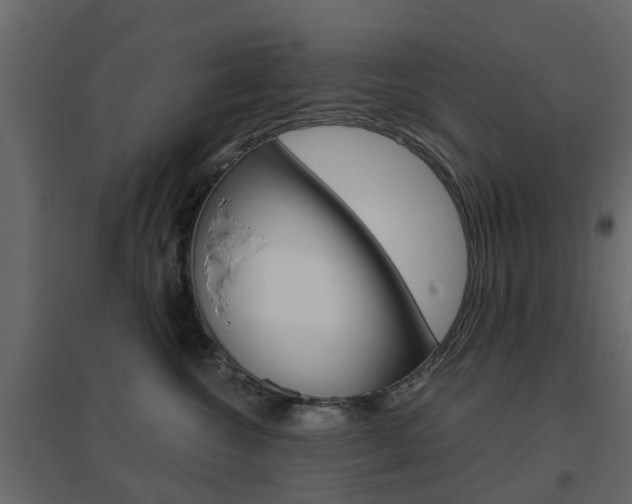 X0000096640572200802051000