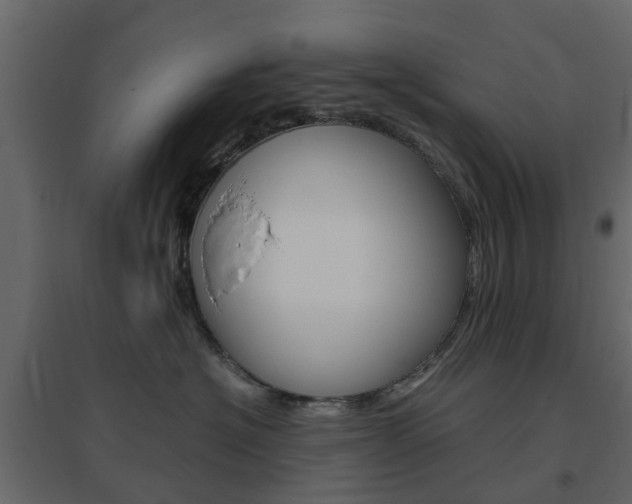 X0000096640574200802051000