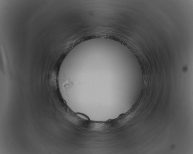 X0000096640575200802051000