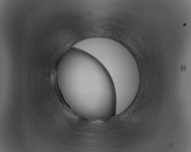 X0000096640576200802051000