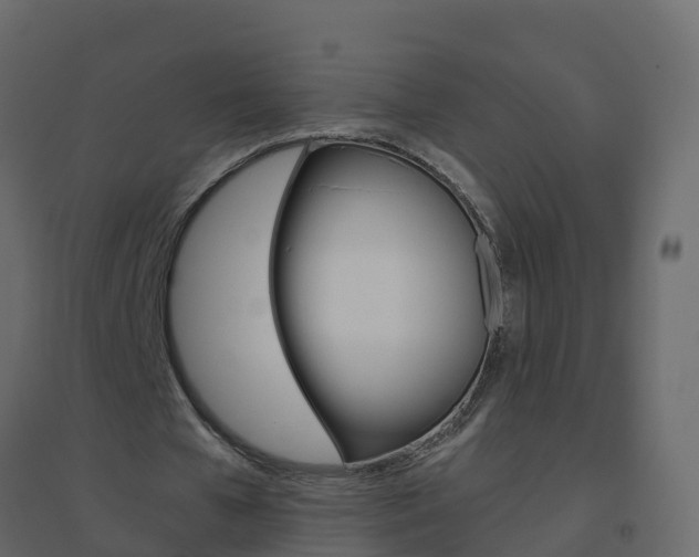 X0000096640577200802051000