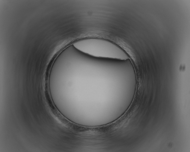 X0000096640578200802051000