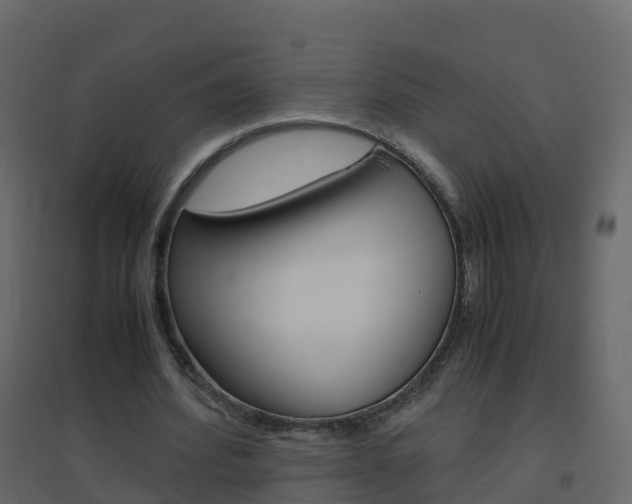 X0000096640580200802051000