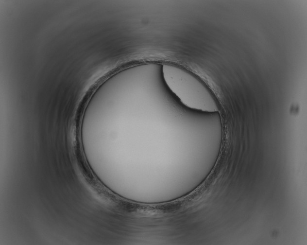 X0000096640582200802051000
