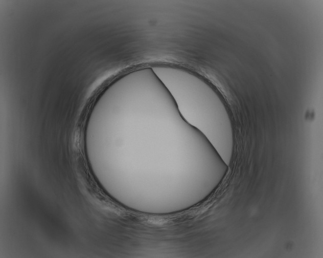 X0000096640583200802051000