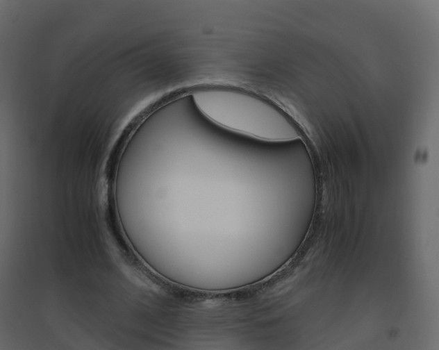 X0000096640584200802051000