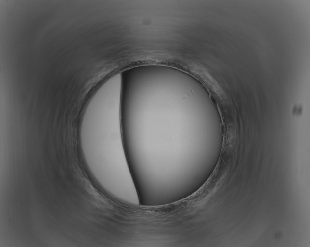 X0000096640585200802051000