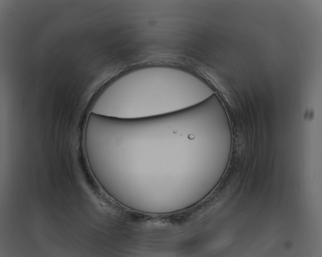 X0000096640586200802051000