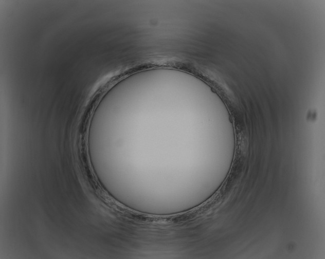 X0000096640587200802051000