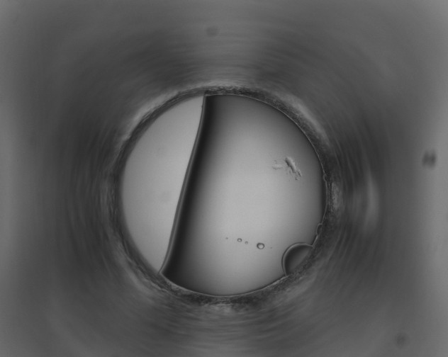 X0000096640588200802051000