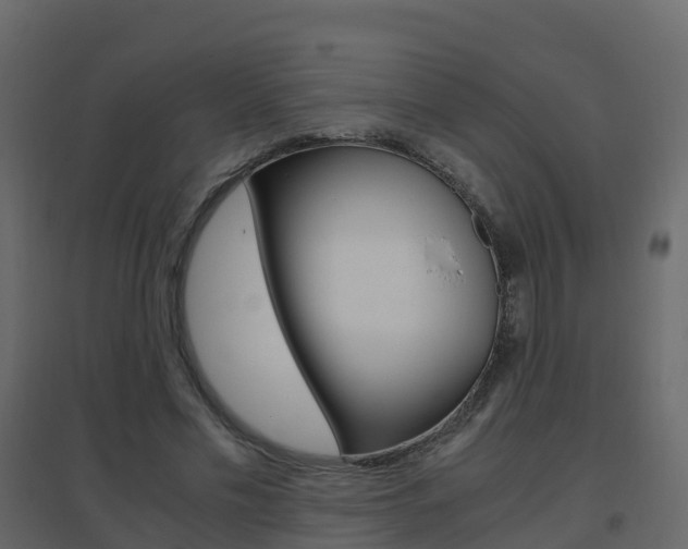 X0000096640589200802051000