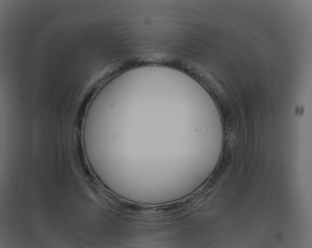 X0000096640591200802050959